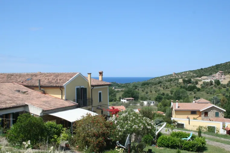 Bild: Olivenernte im Cilento 