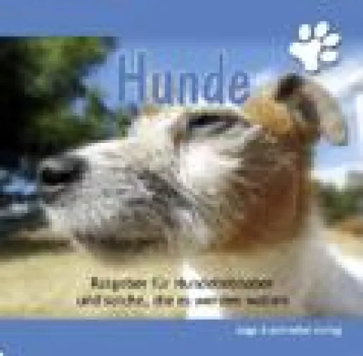 Wie Hunde lernen Bild: Wie Hunde lernen