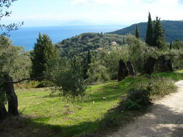 Singlereisen.de: Geheimtipp Korfu – Als Single in den Urlaub und das ursprüngliche Griechenland erleben Bild: Singlereisen.de: Geheimtipp Korfu – Als Single in den Urlaub und das ursprüngliche Griechenland erleben