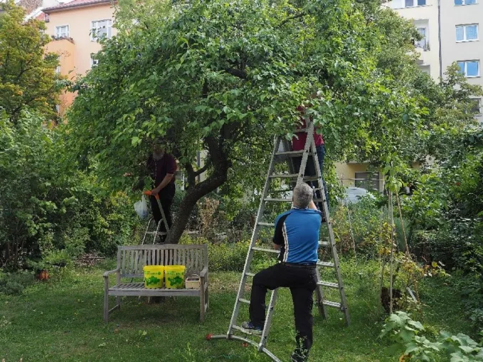Rettet Block 4 der Kleingartenkolonie Am Stadtpark I in Berlin-Wilmersdorf Bild: Rettet Block 4 der Kleingartenkolonie Am Stadtpark I in Berlin-Wilmersdorf
