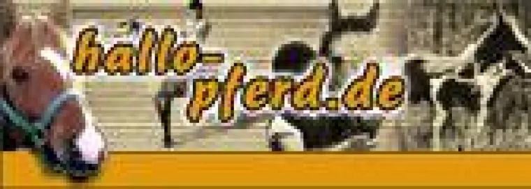 Bild: Osteopathie für Pferde – Leben ist Bewegung