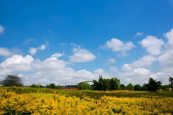 MillerKnoll präsentiert neue Nachhaltigkeitsstrategie und veröffentlicht "Better World Report 2024" Bild: MillerKnoll präsentiert neue Nachhaltigkeitsstrategie und veröffentlicht "Better World Report 2024"