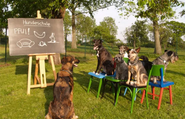 Bild: Marlies Kunzweiler gestaltet und programmiert neuen Internetauftritt für Heck