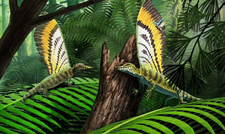 Bild: Ein fossiler „Wundersaurier“ verändert das Verständnis der Reptilienevolution