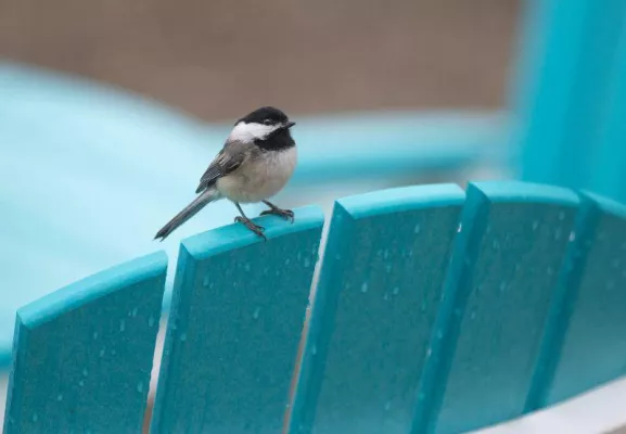 Bild: Design und Upcycling oder Recycling sind kein Widerspruch