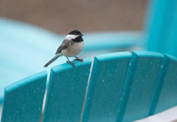 Bild: Design und Upcycling oder Recycling sind kein Widerspruch