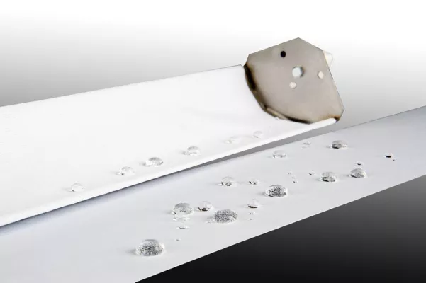 Bild: Fortuna sagt dem Schimmel den Kampf an