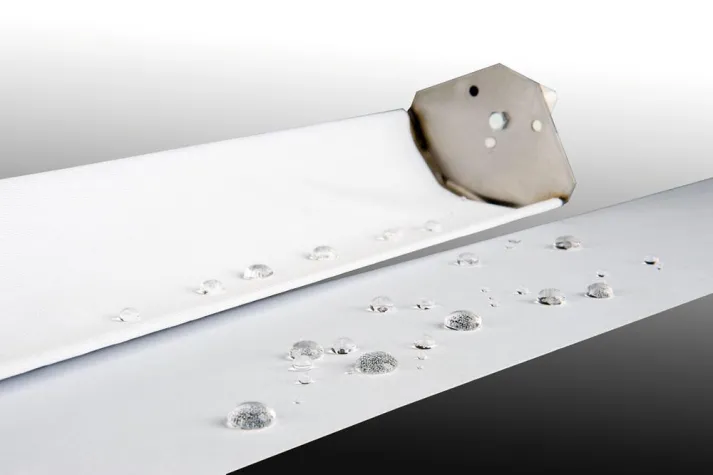 Bild: Fortuna sagt dem Schimmel den Kampf an