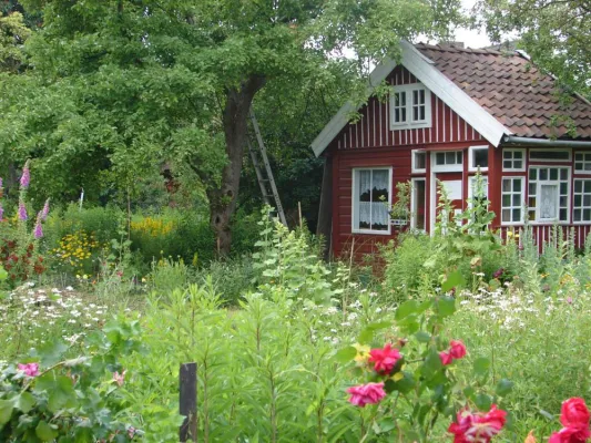 Schrebergärten: Die kleine Oase hinter Hecken Bild: Schrebergärten: Die kleine Oase hinter Hecken