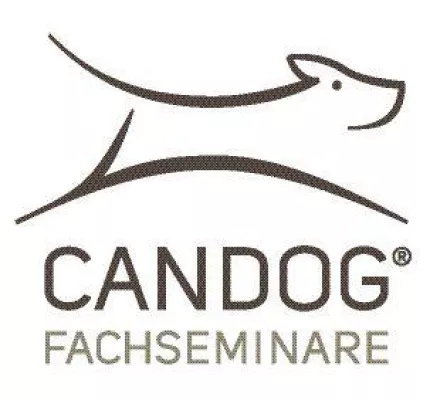 Bild: Silvester mit dem Hund - Richtig vorbereiten