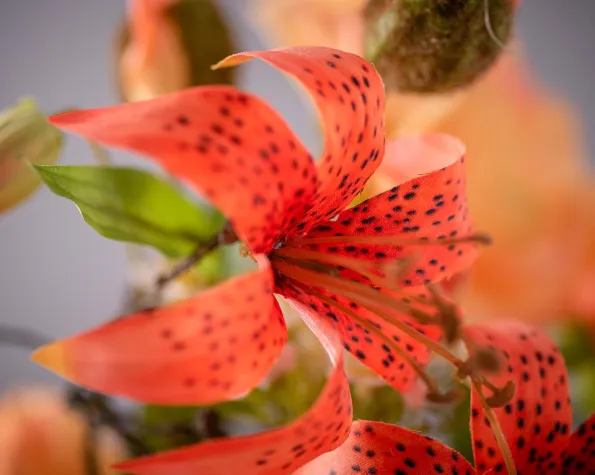 Bild: Die pflegeleichte Alternative zu echten Blumen