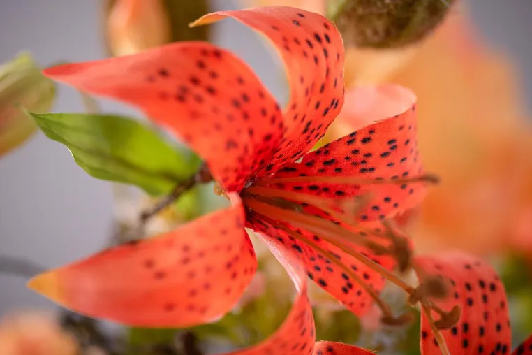 Bild: Die pflegeleichte Alternative zu echten Blumen