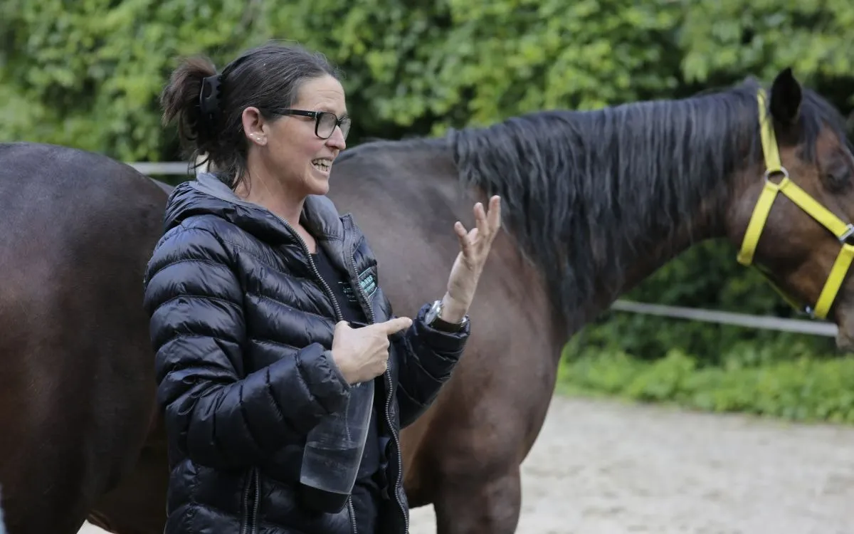 Pferdegestütztes Coaching Ausbildung (© jutta einhaus)