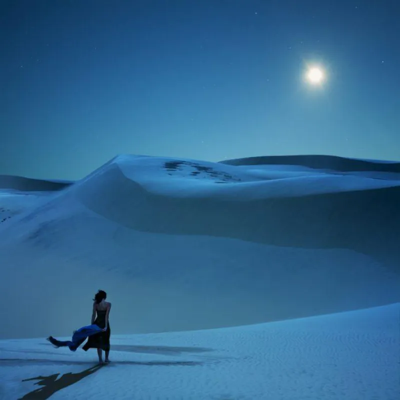 Full Moon Calling @iStockphoto/piskunov: Foto des Jahres beim Punctum Day