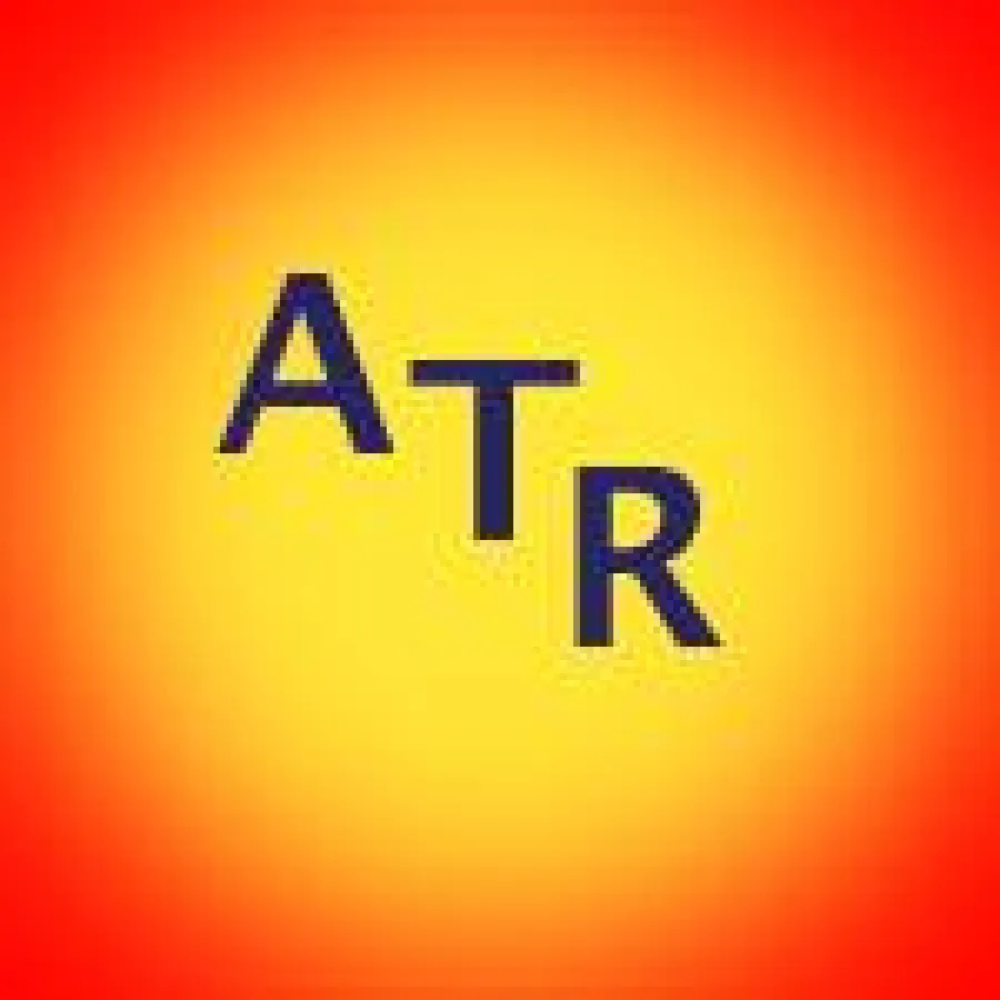 TV-Interview löst nicht das Problem: Wulff - Bundespräsident mit Schatten