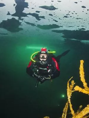 Bild: Geheimtipp: Wintervielfalt Weissensee, am Spielplatz der Natur