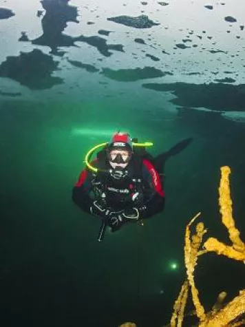 Geheimtipp: Wintervielfalt Weissensee, am Spielplatz der Natur Bild: Geheimtipp: Wintervielfalt Weissensee, am Spielplatz der Natur