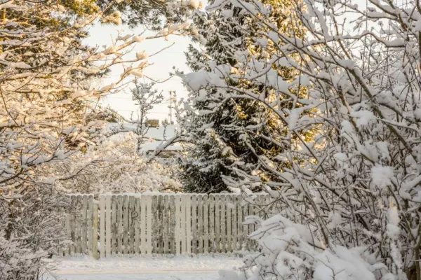 Bild: So vielseitig ist der Garten im Winter