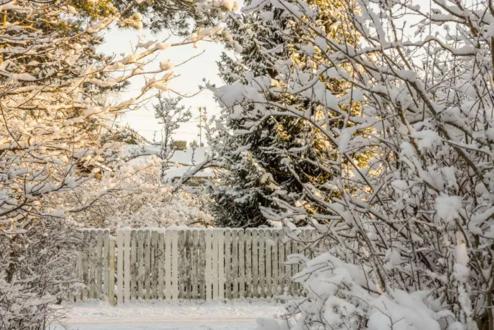 Bild: So vielseitig ist der Garten im Winter