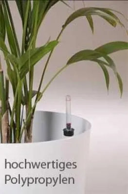 Bild: Kunststoff ist nicht gleich Kunststoff: Polypropylen als Materiale für robuste Pflanzkübel