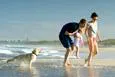 Urlaub mit Hund in Ungarn – Einreisebestimmungen, Hundestrand, Hundehaftpflicht und mehr Bild: Urlaub mit Hund in Ungarn – Einreisebestimmungen, Hundestrand, Hundehaftpflicht und mehr