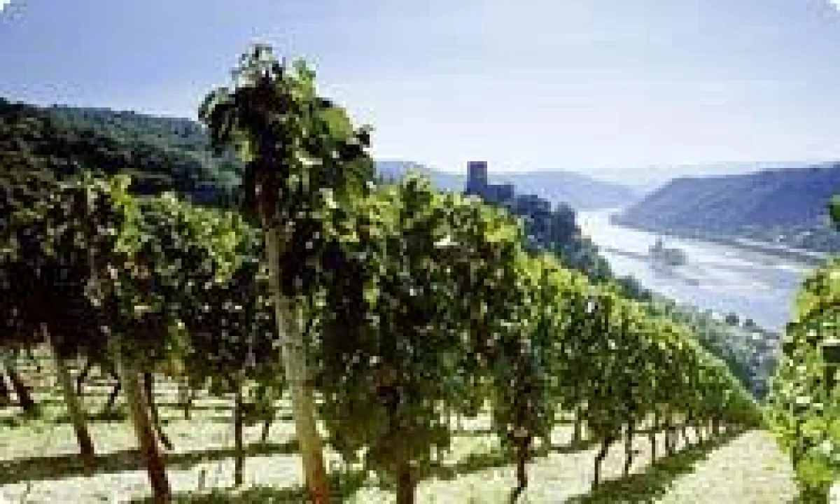 Die Flussreisen auf dem Rhein genießen.