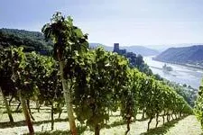 Bild: Exklusive Rhein Flussreisen mit den Arosa Aqua bei Schiffs-Urlaub.de