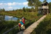 Mit Schnürschuh und Wanderstock zum Diplom Bild: Mit Schnürschuh und Wanderstock zum Diplom