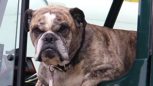 Bild: 2019 wird ein turbulentes Jahr für die Logistik - Zeit für Gelassenheit