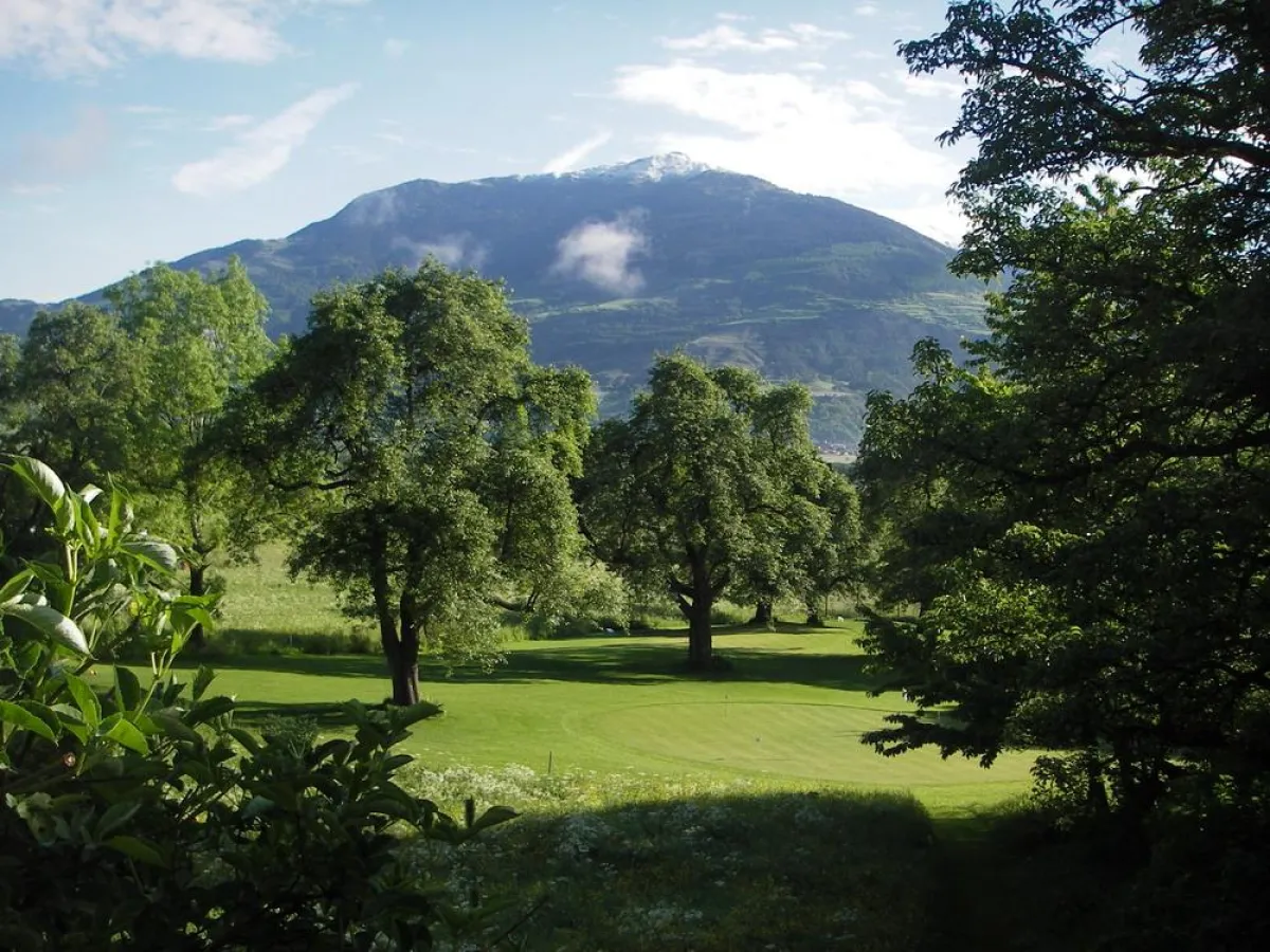 Golfplatz mit 300 Jahre alten Palapirnbäumen