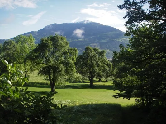 Bild: Vinschgauer Mix für putzmuntere Golfer
