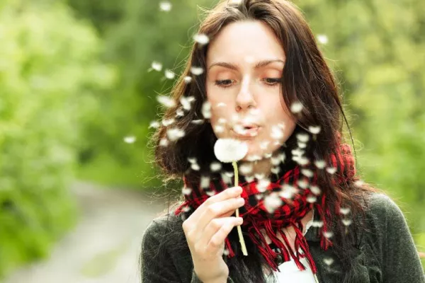 Bild: Isländisch Moos: Natürlich gut für Hals und Rachen