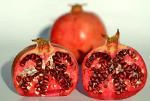 Bild: Granatapfel seit Jahrhunderten als Heilmittel im Einsatz