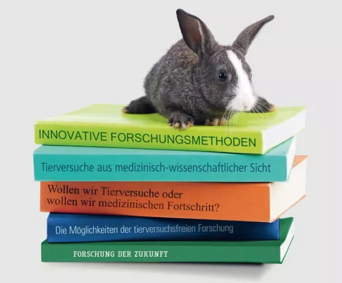 Bild: Fragen und Antworten zum Thema Tierversuche