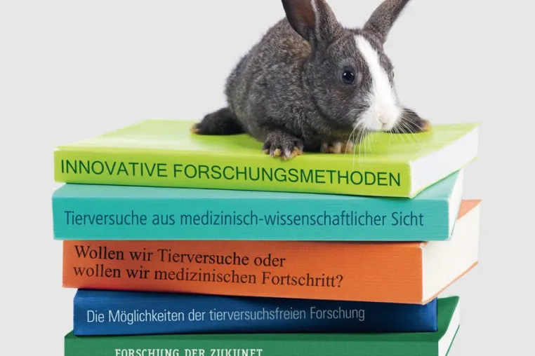 Bild: Fragen und Antworten zum Thema Tierversuche