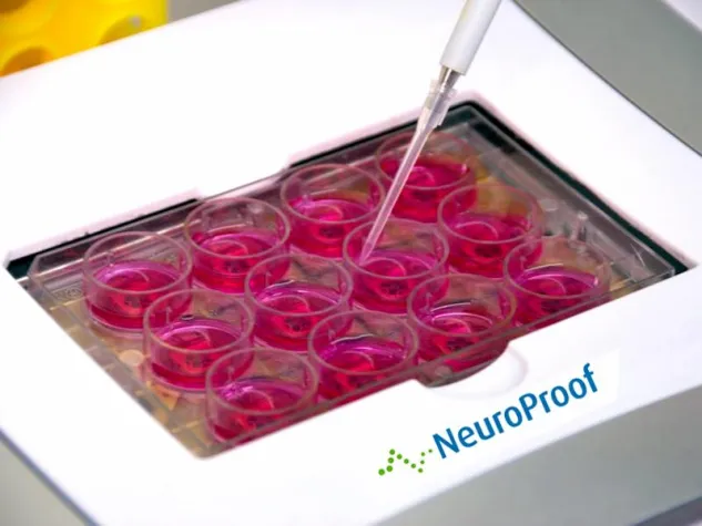 Bild: NeuroProof startet neue Finanzierungsrunde