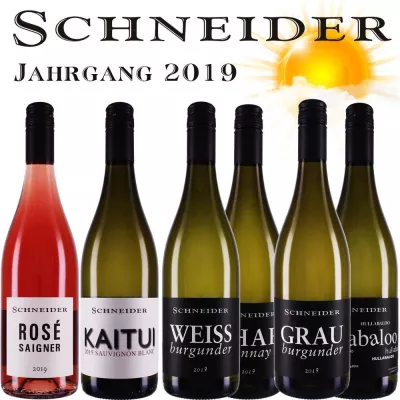 Bild: Markus Schneider präsentiert seine Weißweine Jahrgang 2019