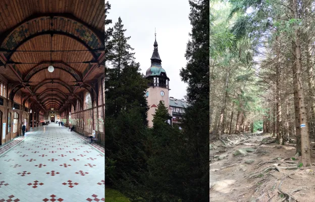 Bild: Neues Buch "Bad Flinsberg im Isergebirge und vieles mehr"