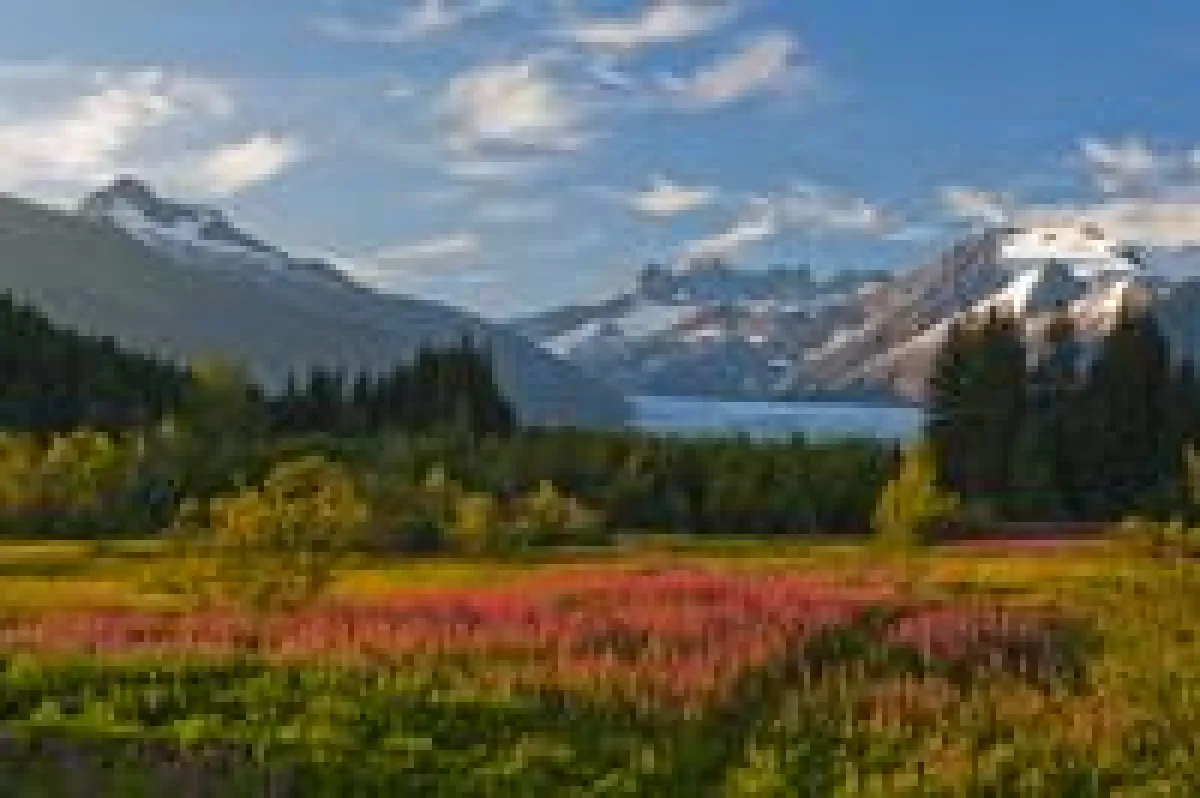Mendenhall Glacier - Copyright Mark Kelley