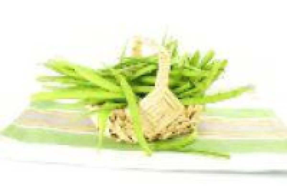 Guarkerngranulat_www.heissmann.ch