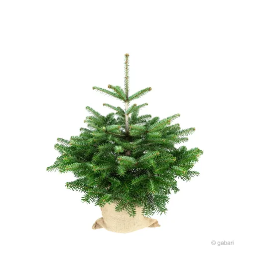 Bild: Plastikbaum zum Weihnachtsfest? Es gibt bessere Alternativen für das gute Gewissen in der Weihnachtszeit.