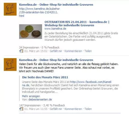 Bild: Kamelina.de gewinnt Wahl zur Facebook-Seite des Monats