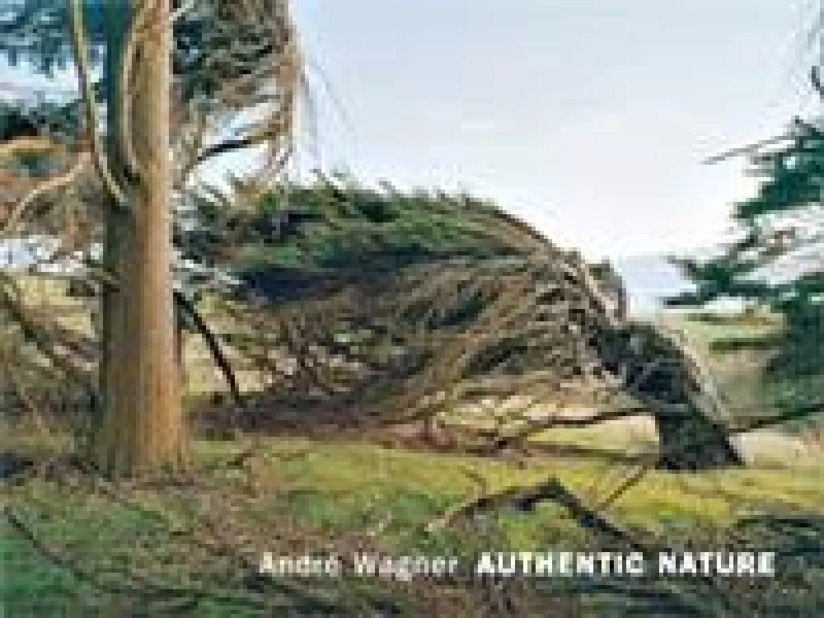 AUTHENTIC NATURE ? Fotokunst der besonderen Art - André Wagner