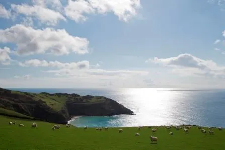 Landpartie in Cornwall: Das Polurrian Bay und Fowey Hall sind ideale Ausgangspunkte für Familienausflüge Bild: Landpartie in Cornwall: Das Polurrian Bay und Fowey Hall sind ideale Ausgangspunkte für Familienausflüge