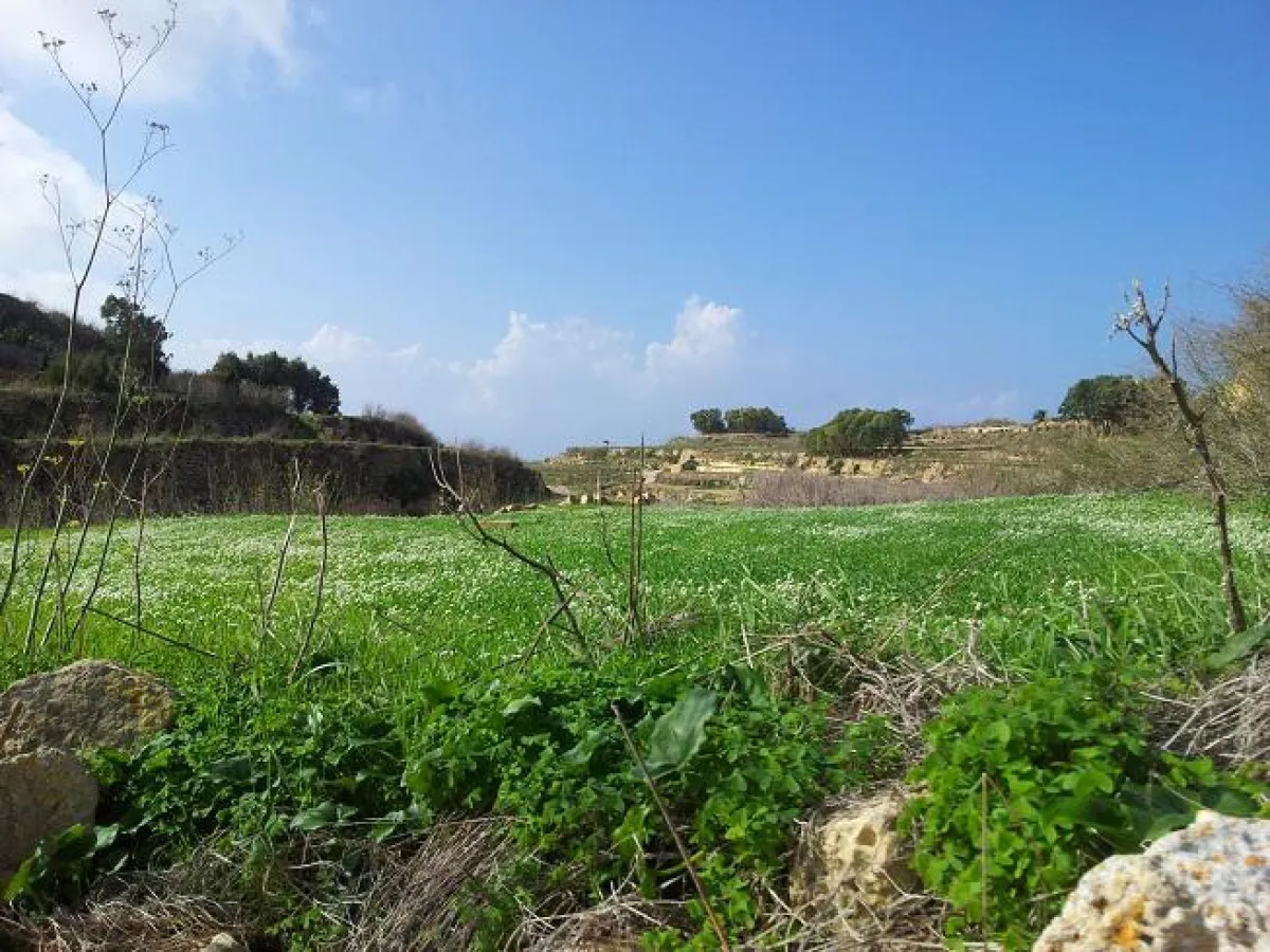 Malta im Frühling