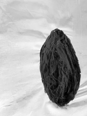 Ausstellung - Little White Lies - Anja Brogan 11.1. - 10.2.2008 Bild: Ausstellung - Little White Lies - Anja Brogan 11.1. - 10.2.2008