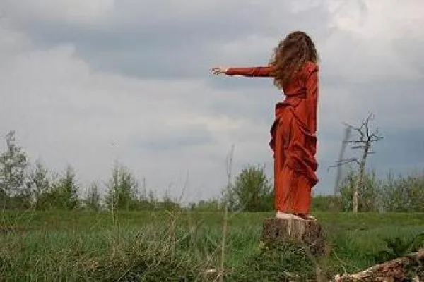 Bild: Bremer Theaterkompanie "wildwechsel" präsentiert Schauspiel, Tanz und Musik in einem Open-Air-Stück