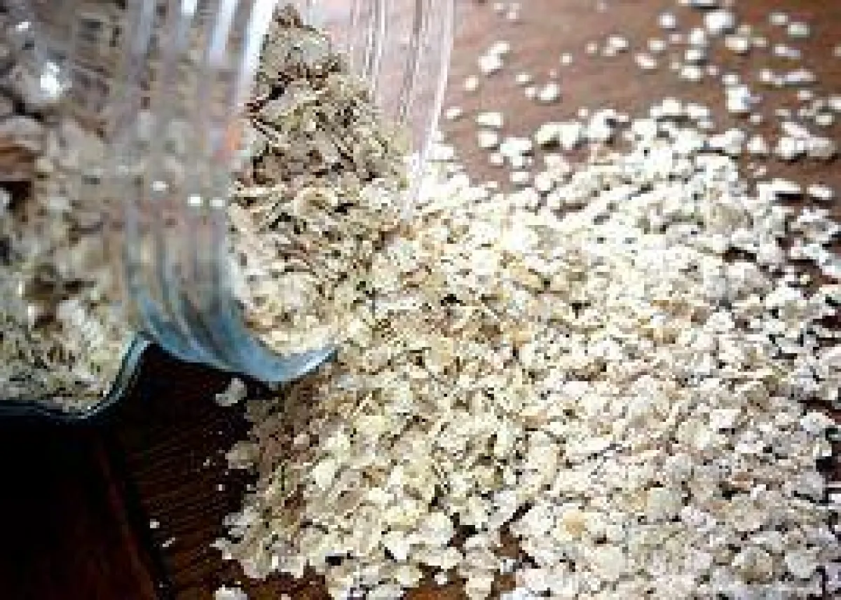 Mehlmotten aktiv bekämpfen