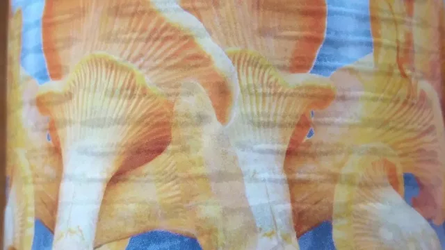 Bild: Die Verarbeitungsindustrie schlägt Alarm: Weltweite Ernteeinbrüche führen zu starken Preissteigerungen !