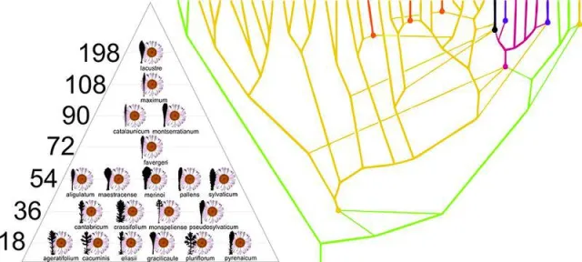 Taxon-OMICS – Mit wie vielen Arten teilen wir uns die Welt? Bild: Taxon-OMICS – Mit wie vielen Arten teilen wir uns die Welt?